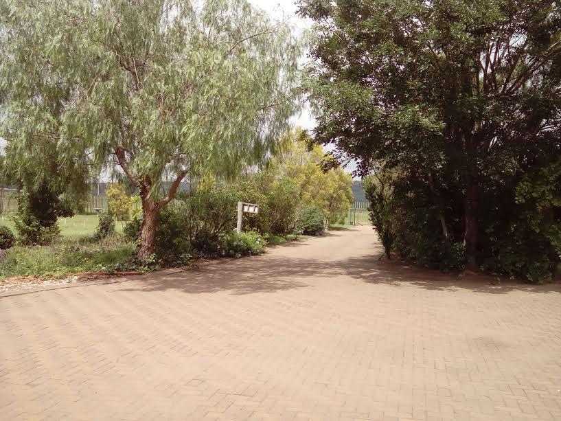 Robin Nest Guest House Нюкасъл Екстериор снимка